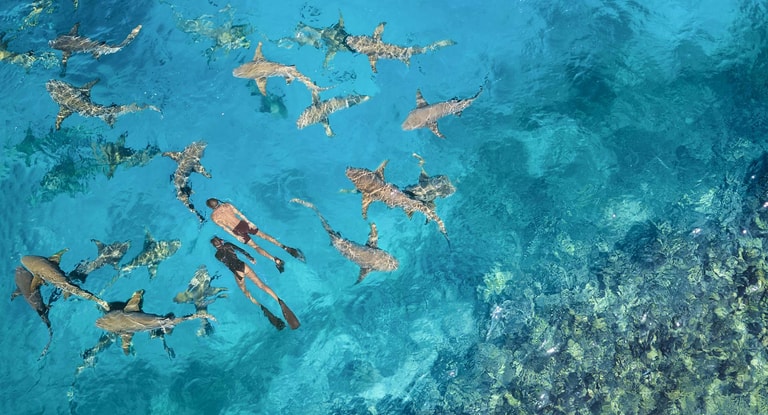 Anantara Veli Maldives Resort — photo 4