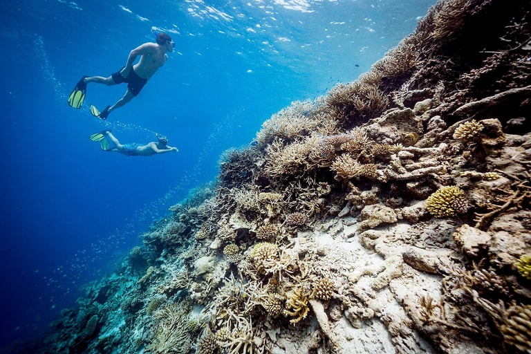Ayada Maldives — photo 5