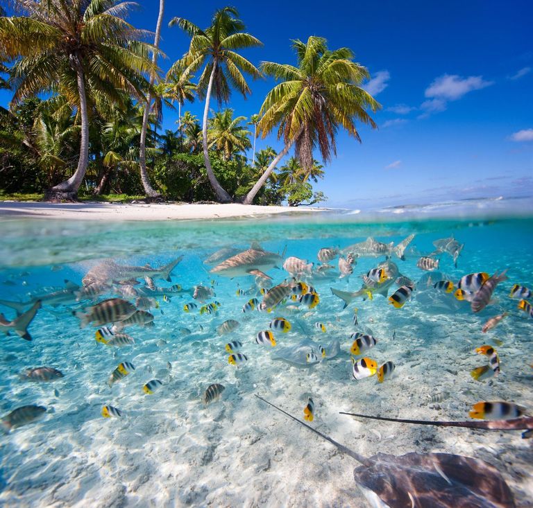 Ayada Maldives — photo 10