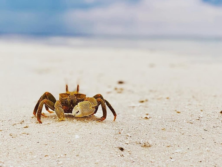 Ayada Maldives — photo 12