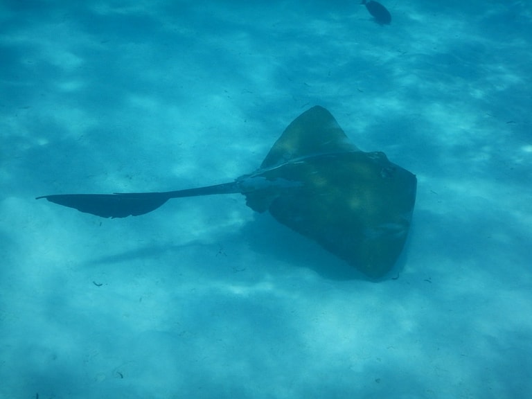 Ayada Maldives — photo 13
