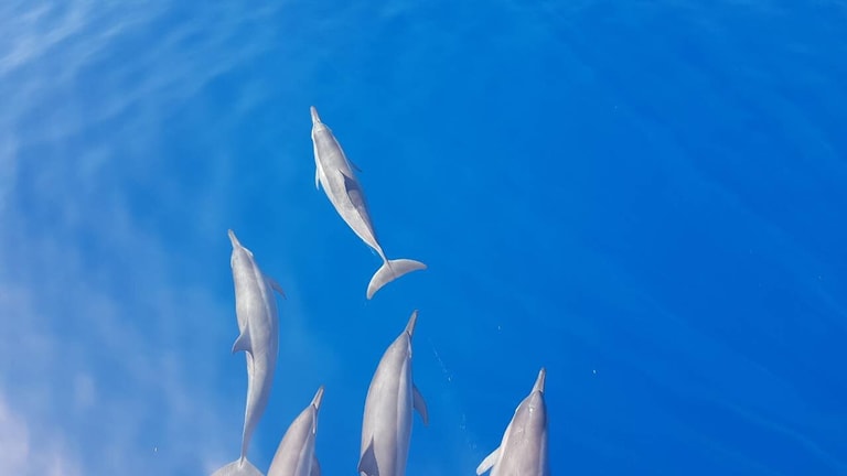 Ayada Maldives — photo 26