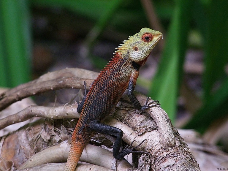 Ayada Maldives — photo 43