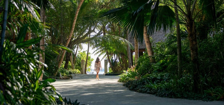 Baros Maldives — photo 33