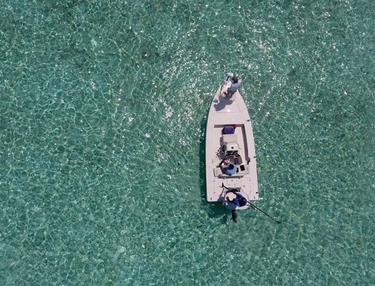 COMO Maalifushi — photo 46