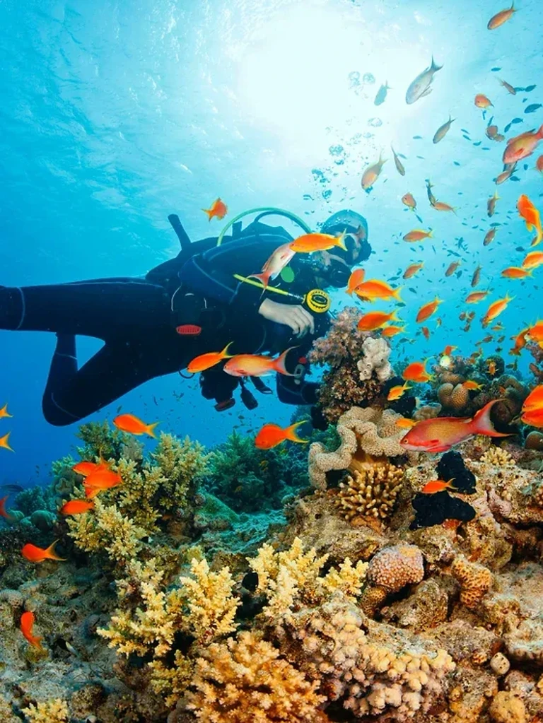 Constance Halaveli Maldives — photo 11