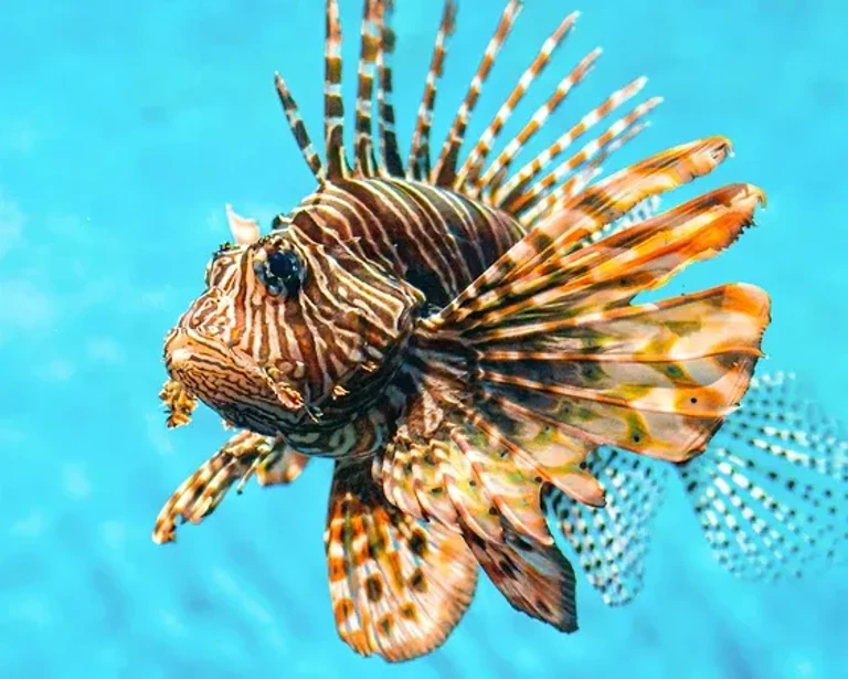 Constance Moofushi - All Inclusive — photo 3
