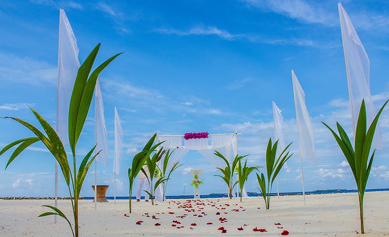 Dhigali Maldives - A Premium All-Inclusive Resort — photo 8