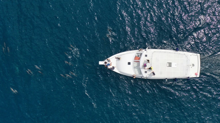 Dhigali Maldives - A Premium All-Inclusive Resort — photo 15