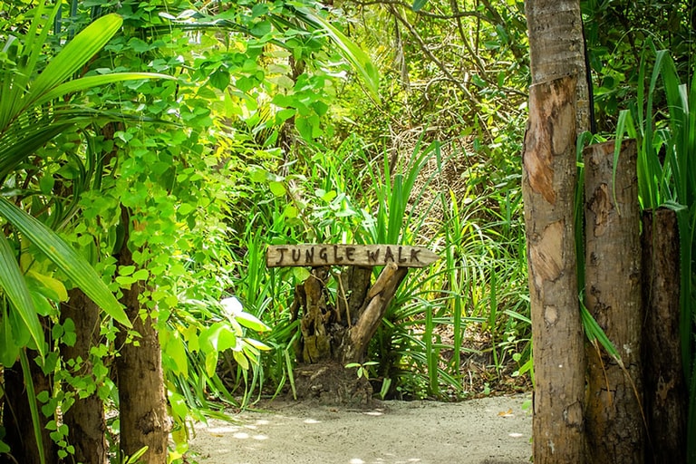 Dhigali Maldives - A Premium All-Inclusive Resort — photo 29