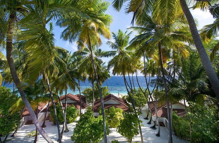 Diamonds Thudufushi Maldives Resort & SPA — photo 5