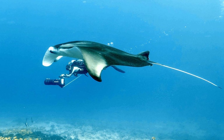 Diamonds Thudufushi Maldives Resort & SPA — photo 27