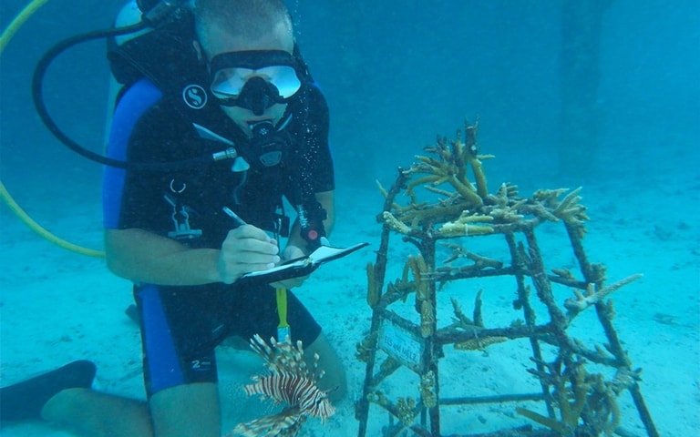 Diamonds Thudufushi Maldives Resort & SPA — photo 28