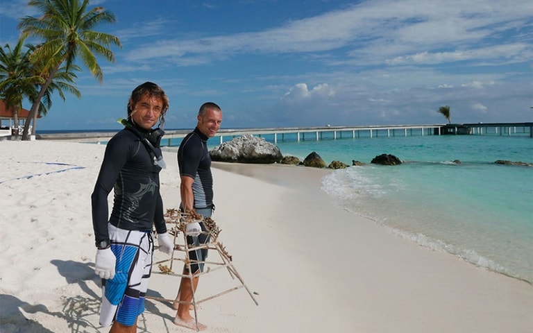 Diamonds Thudufushi Maldives Resort & SPA — photo 29