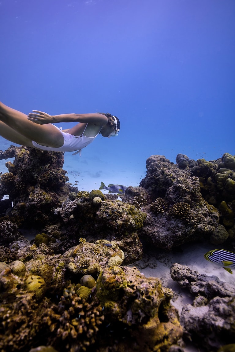 Dusit Thani Maldives — photo 55