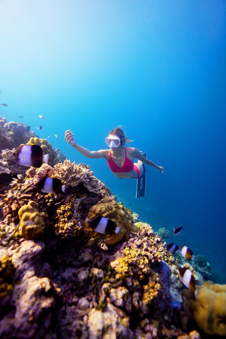 58090e_9d9bb4503c934b21b06f639487c27d07~mv2.jpg