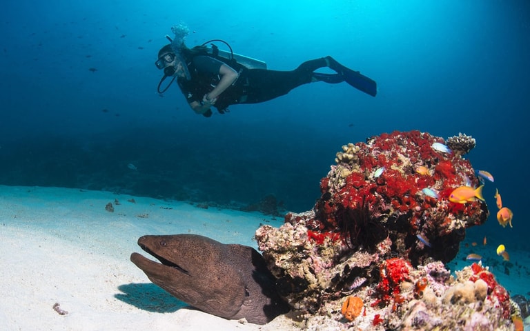 Gili Lankanfushi Maldives — photo 17