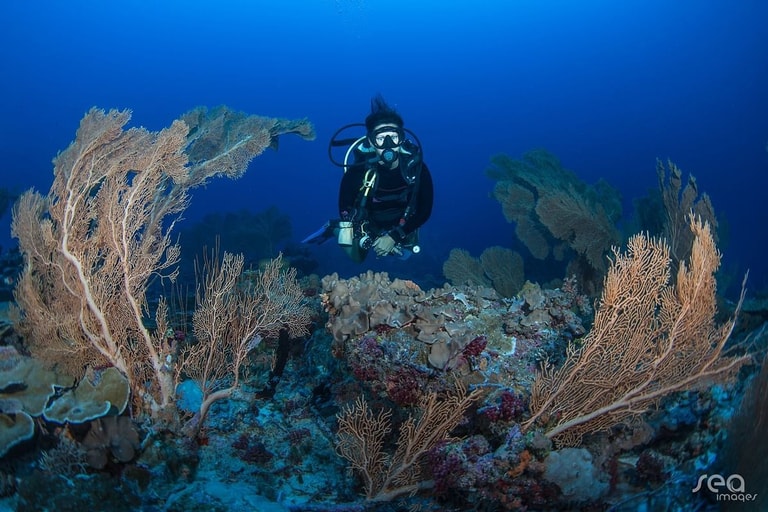 Grand Park Kodhipparu Maldives — photo 5