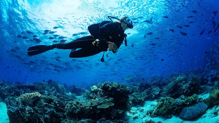 Hilton Maldives Amingiri Resort & Spa — photo 12
