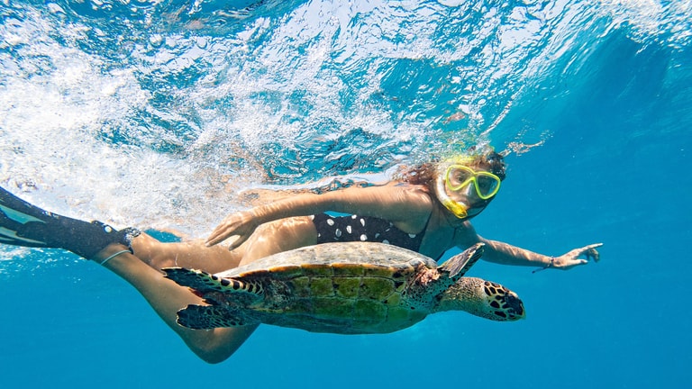 Hilton Maldives Amingiri Resort & Spa — photo 18