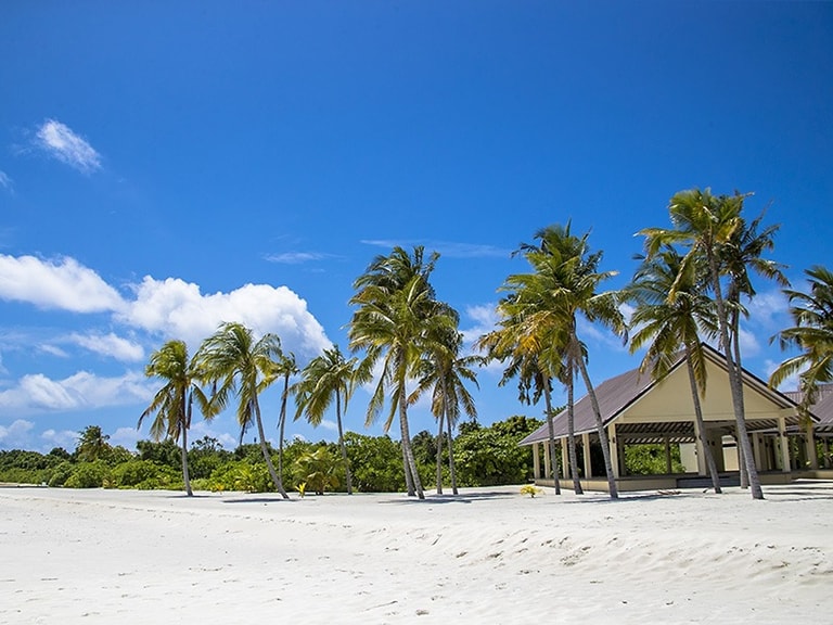 Hondaafushi Island Resort — photo 14