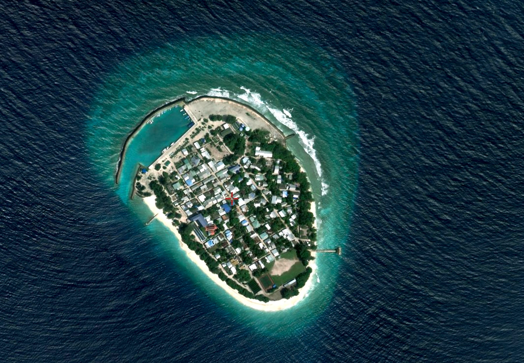 Henbandhoo