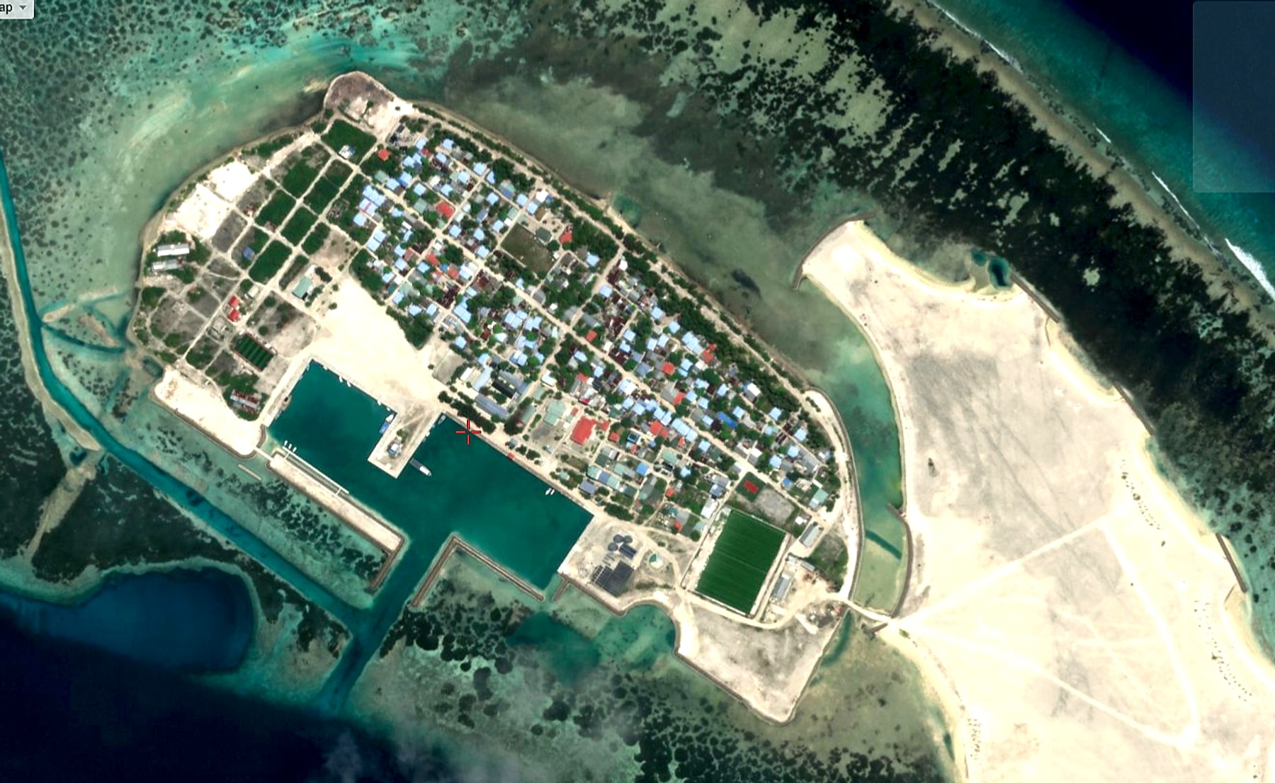 Dhaandhoo