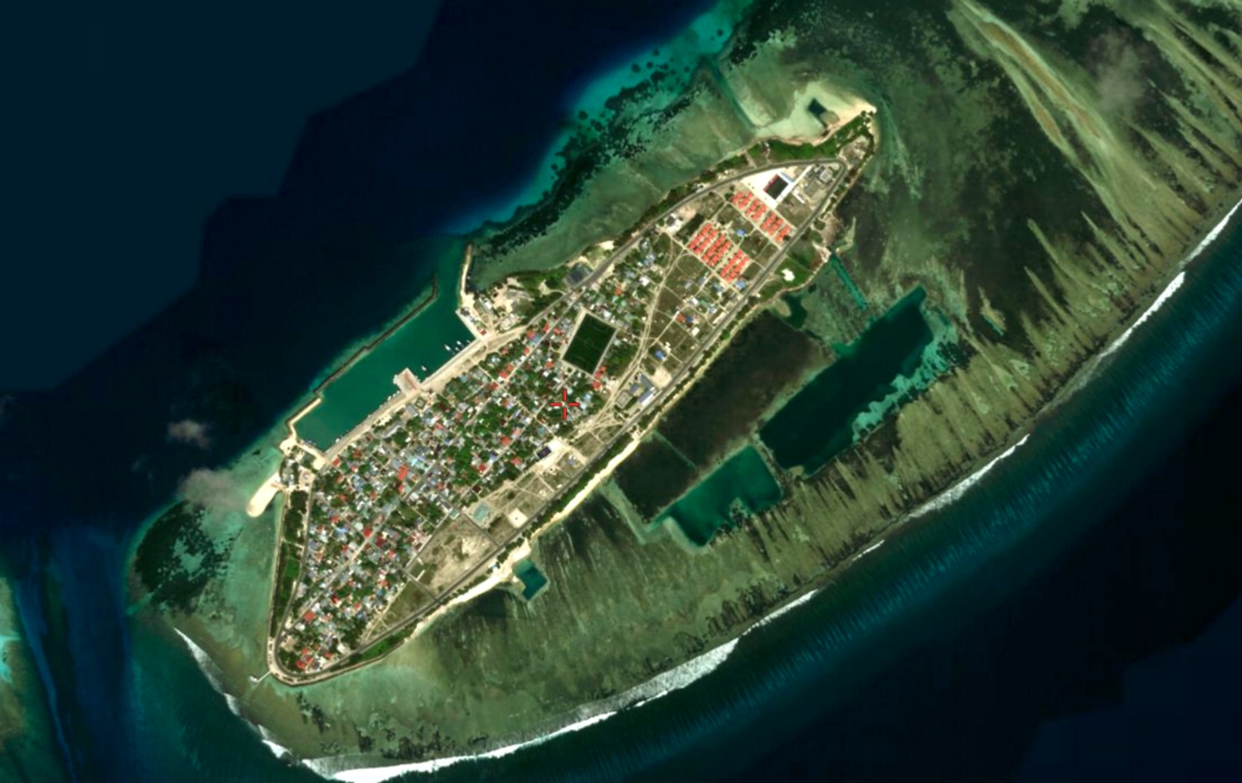 Gaddhoo
