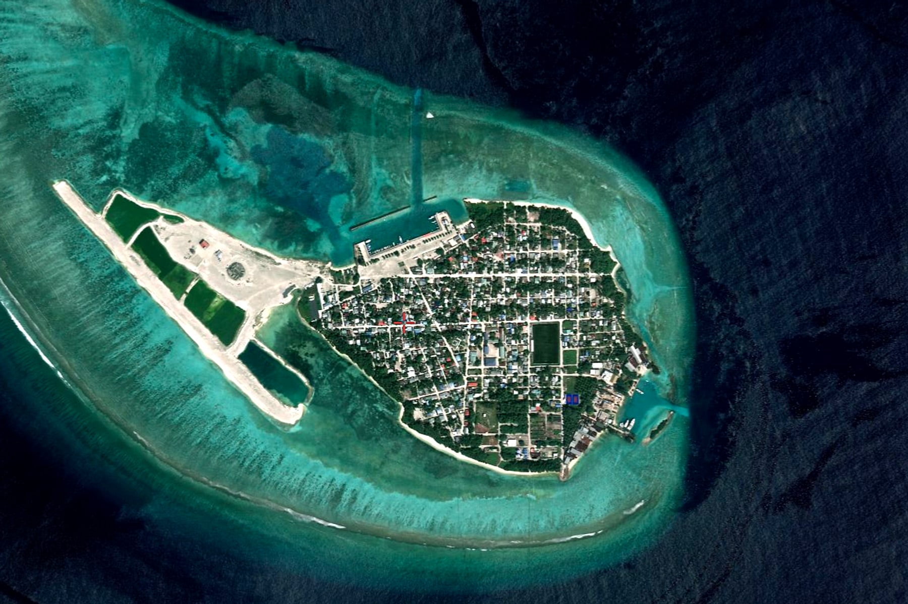 Alifushi