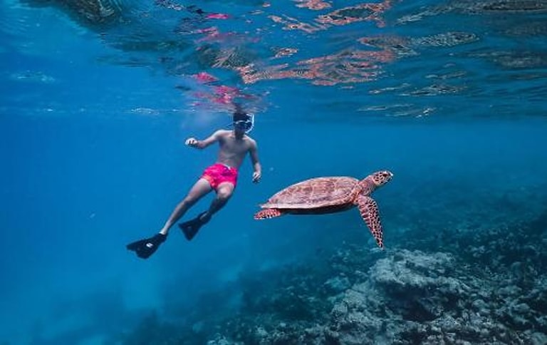 Meeru Maldives Resort Island — photo 18