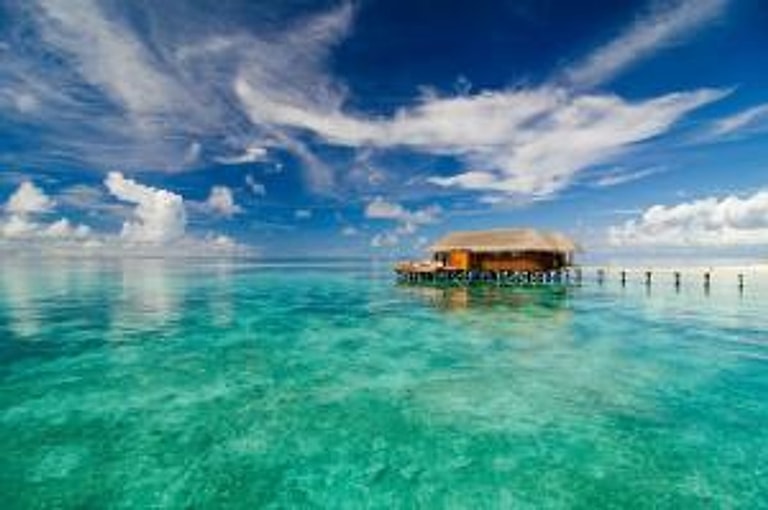 Mirihi Island Resort — photo 15