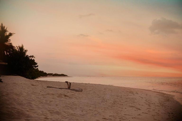 The Castaway Retreat