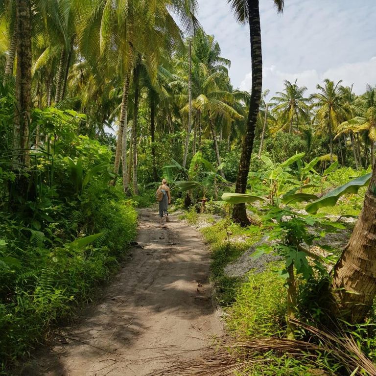 Palm Rest Kaashidhoo Maldives