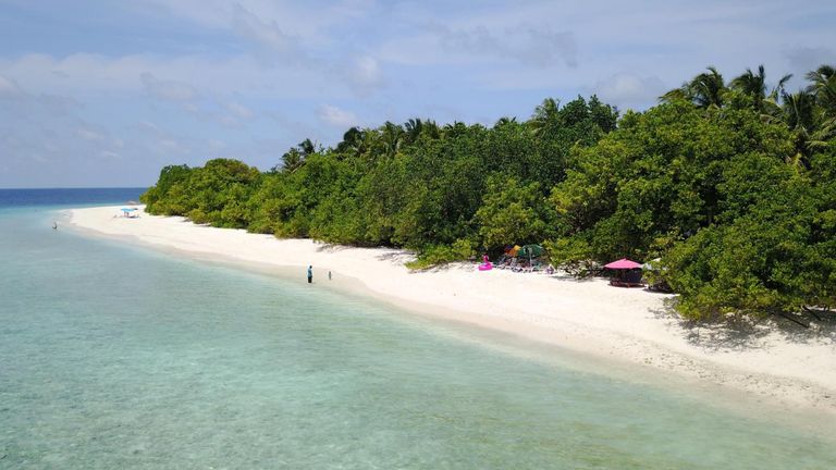 Beach Veli