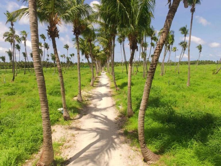 Thoddoo Retreat Grand