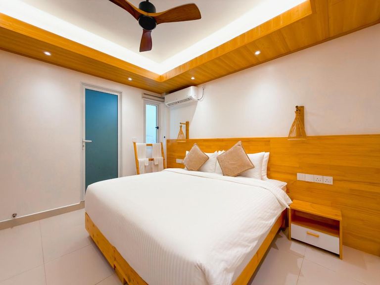 Pavona Maldives