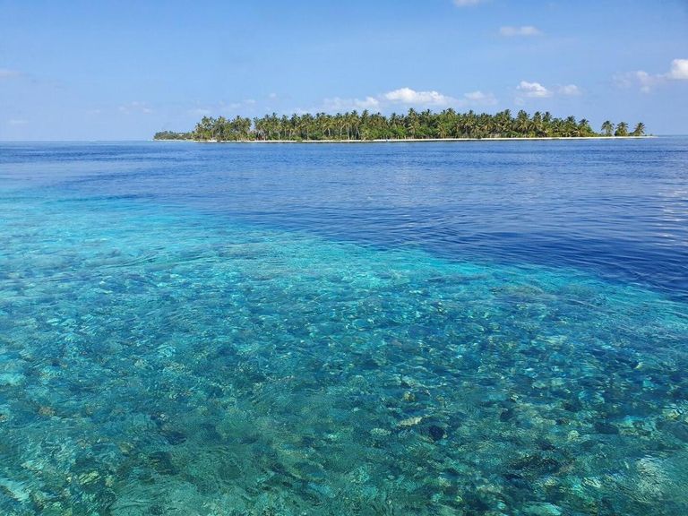 Arianna Dhangethi