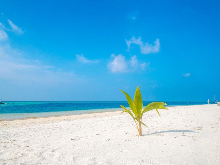 La Cabana Maldives