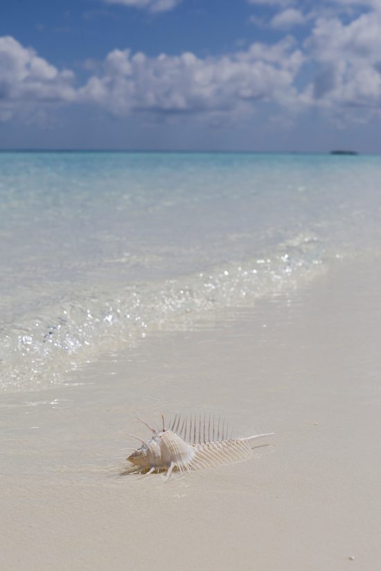 Nika Island Resort