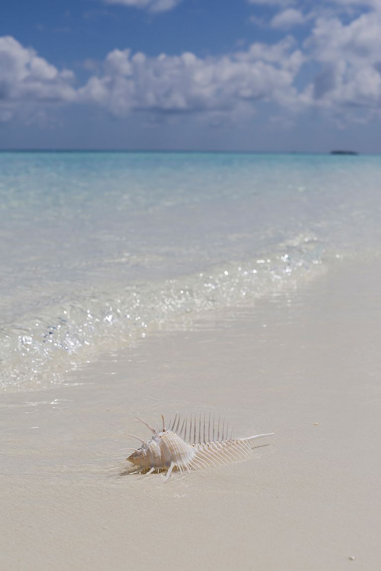 Nika Island Resort