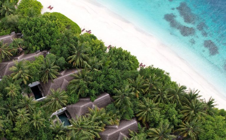 Coco Bodu Hithi