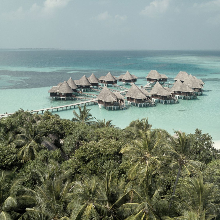 Coco Palm Dhuni Kolhu