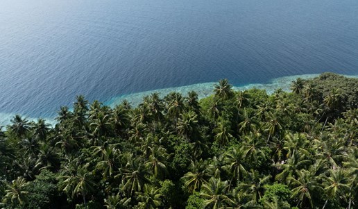 Sun Siyam Vilu Reef