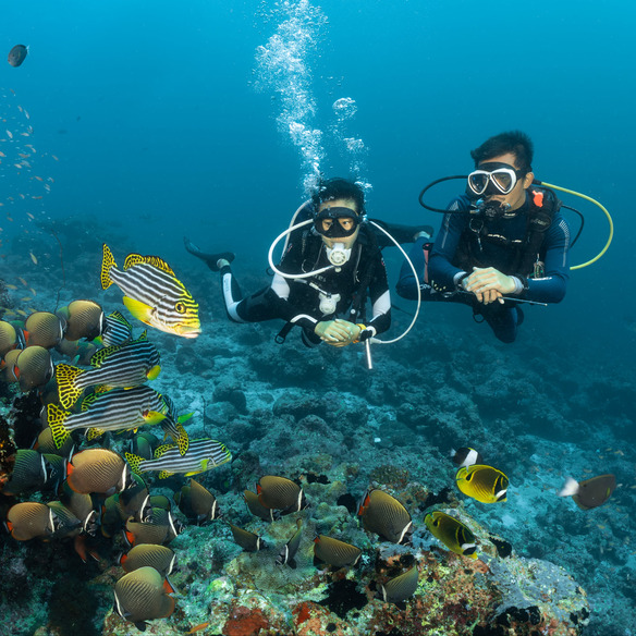 Bandos Maldives