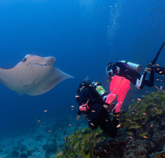 Biyadhoo Island Resort