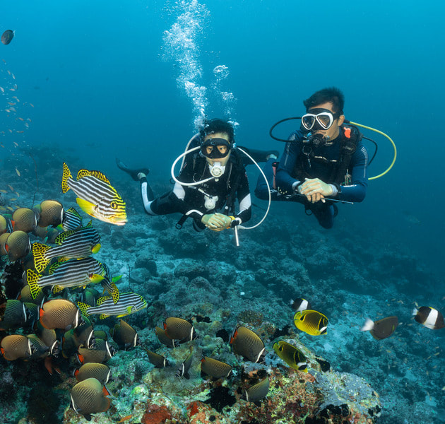 Biyadhoo Island Resort