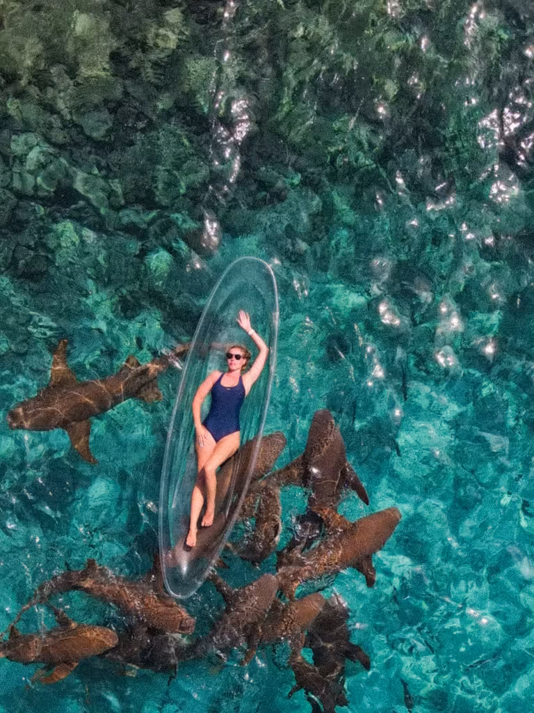 Dhiffushi Inn