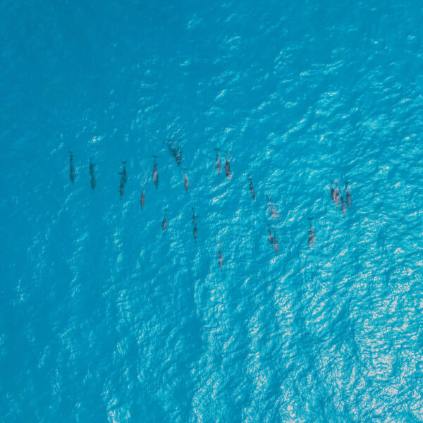 Diamonds Athurga Maldives Resort & SPA