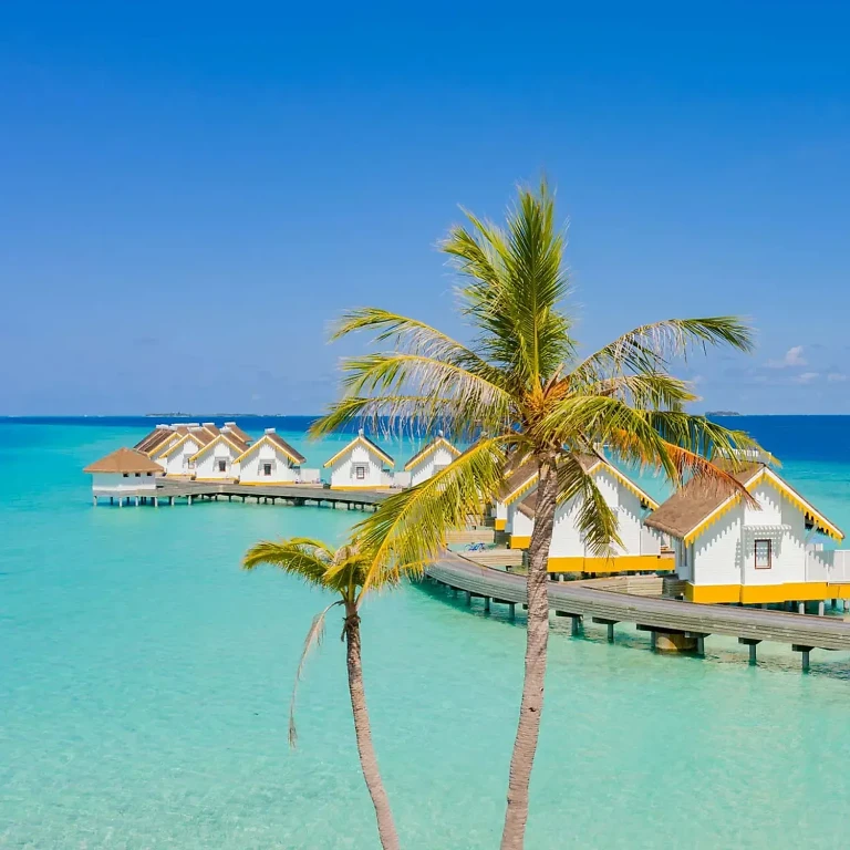 SAii Lagoon Maldives - Curio Collection by Hilton — photo 17