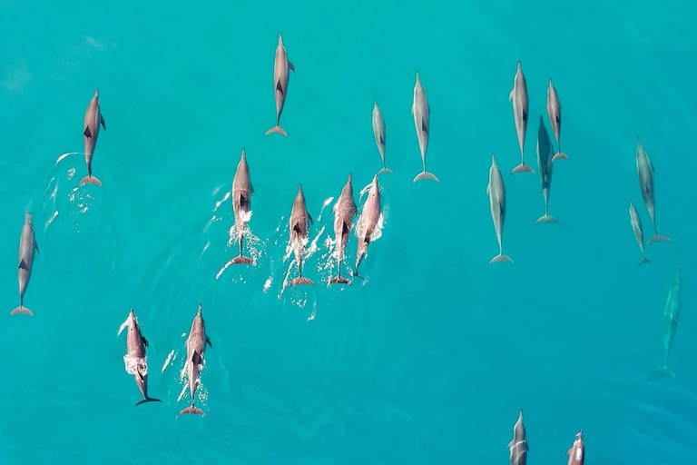 The Ritz-Carlton Maldives - Fari Islands — photo 51